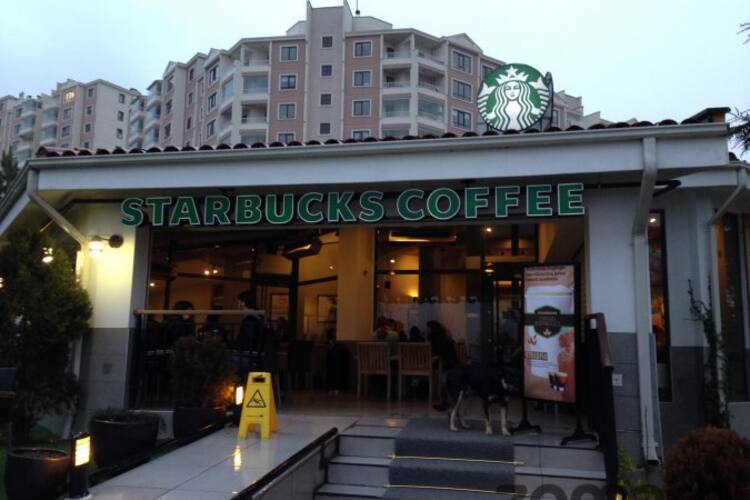 starbucks bilkent ankara